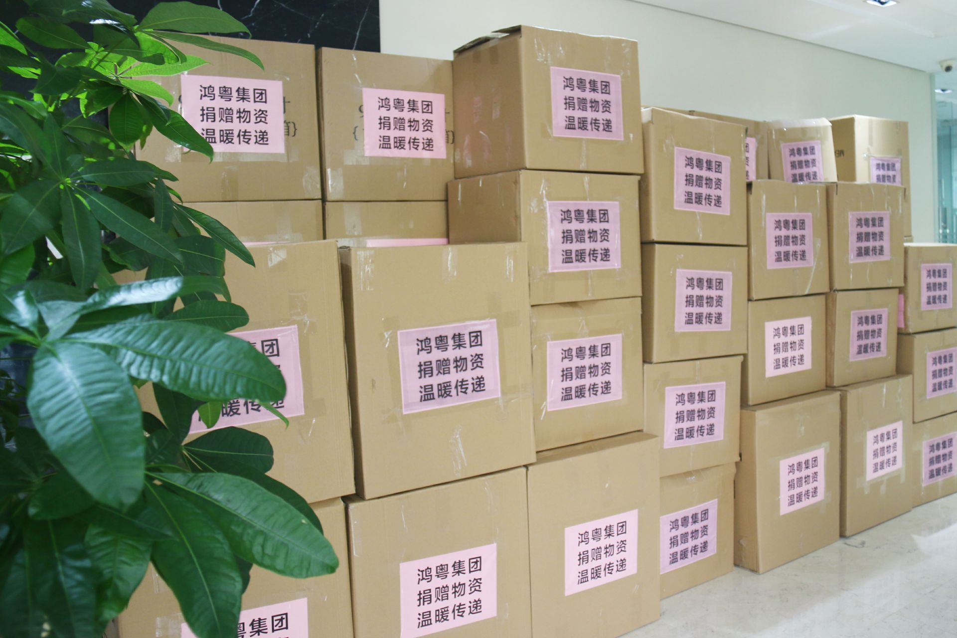 合肥书豪特色食品电商有限公司公益回顾丨家国同欢月同圆 温暖满载甘孜州(图1)